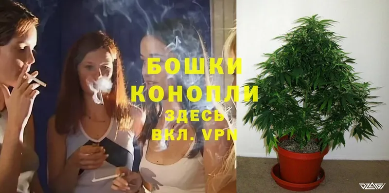 Бошки Шишки SATIVA & INDICA  цена наркотик  Красновишерск 